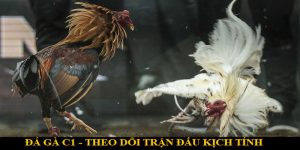 da-ga-c1-1