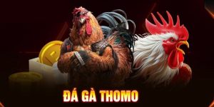 da-ga-thomo-1